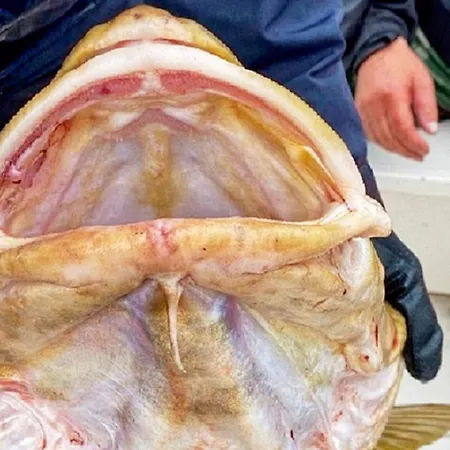 8 Person In Casa de Férias *